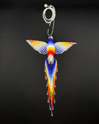 Colibrí Grande