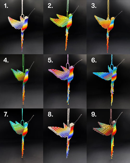 Colibrí Grande