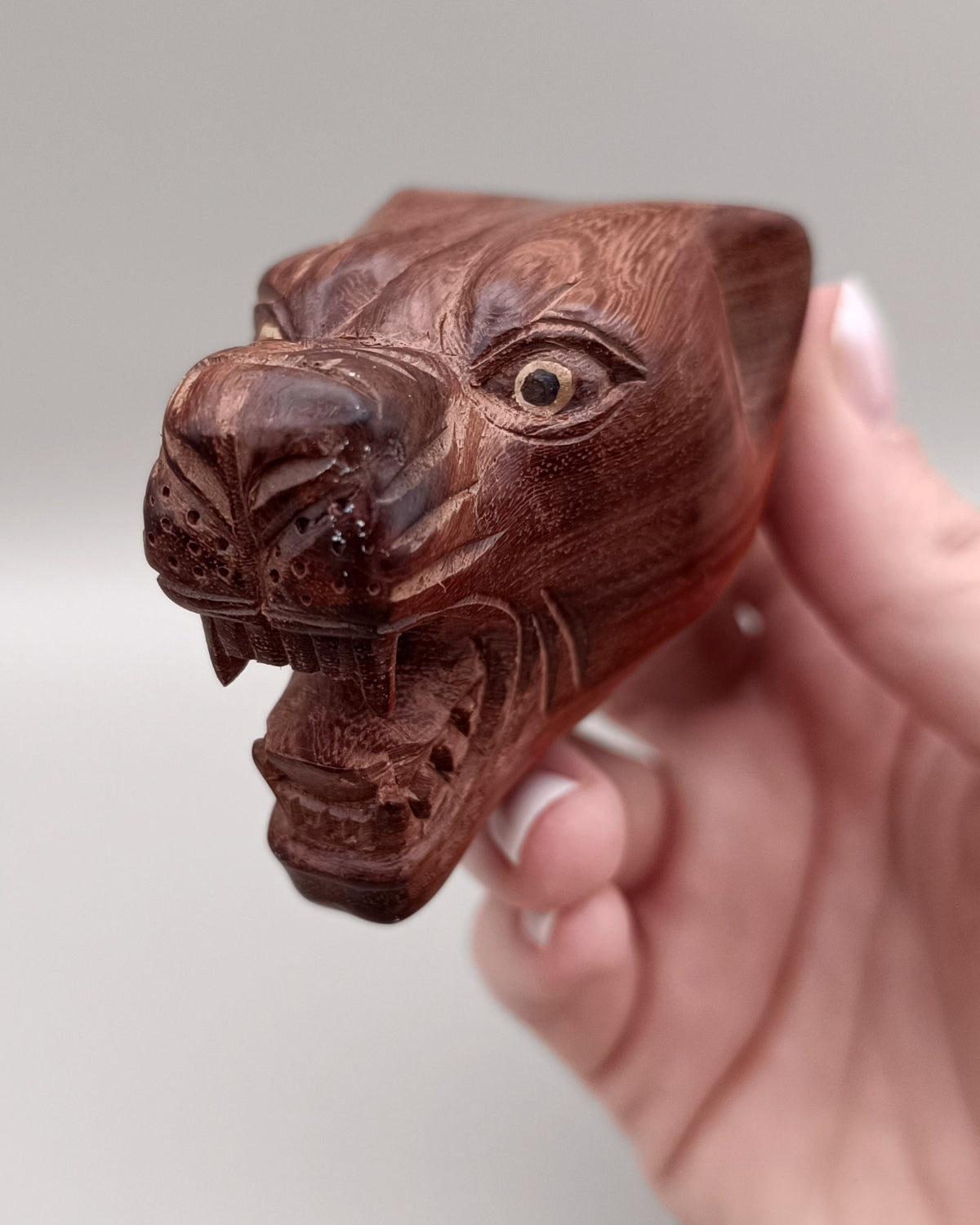 Kuripe jaguar