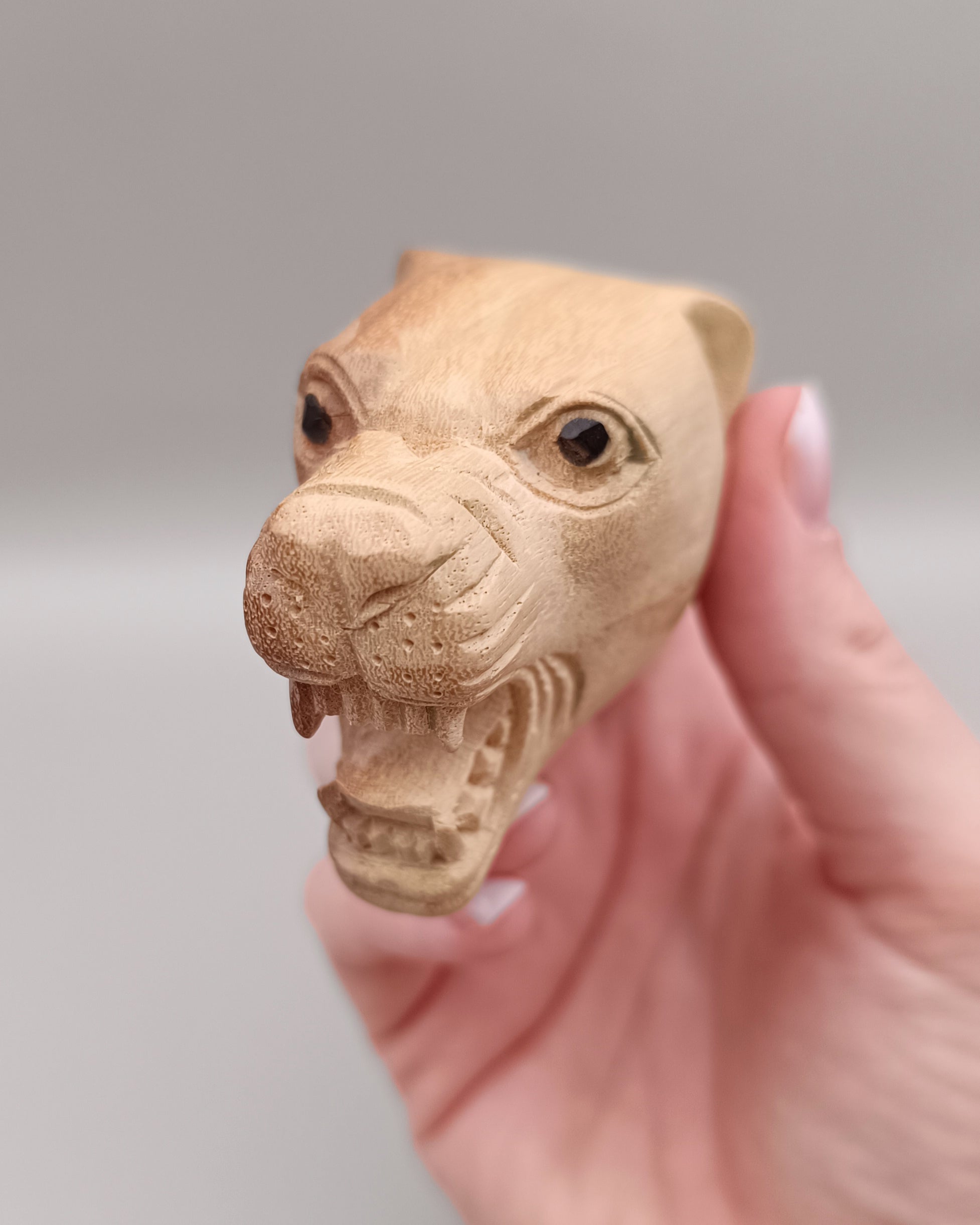 Kuripe jaguar