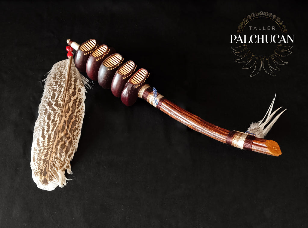 Maraca ceremonial - ayahuasca
