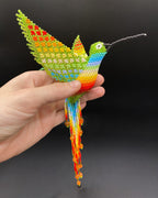 Colibrí Grande